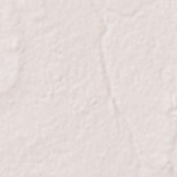 Rajkot Terrain Map
