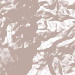 Pochotita Terrain Map