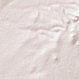 Estancia de Guadalupe Terrain Map
