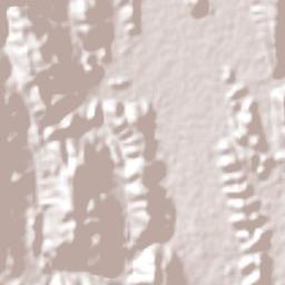 Ampliación la Hincada Terrain Map