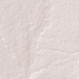 Emiliano Zapata Terrain Map