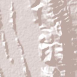 Nuevo Crucitas Terrain Map