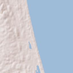 Tampico Alto Terrain Map