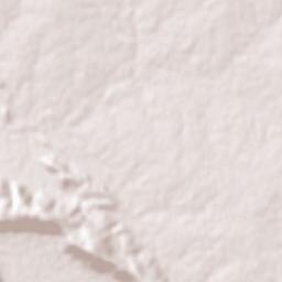 Raigarh Terrain Map