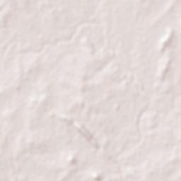 Champua Terrain Map
