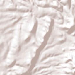 El Saucillo de los Pérez Terrain Map