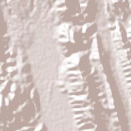 Damian Carmona Terrain Map