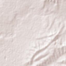 Arboledas Paso Blanco [Fraccionamiento] Terrain Map