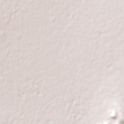 Laguna de San Vicente Terrain Map