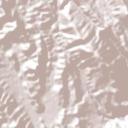 Higinio Olivo Terrain Map