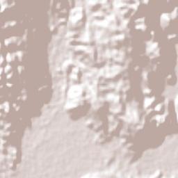 Agua Buena Terrain Map