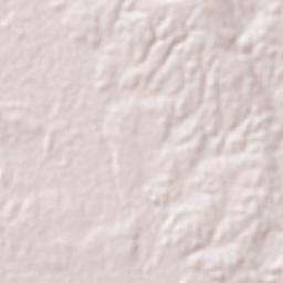 Ciudad Valles Terrain Map
