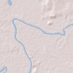 Tamuín Terrain Map