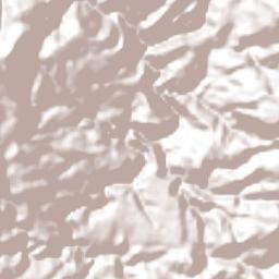 Coamostita Terrain Map