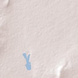 Ojuelos de Jalisco Terrain Map