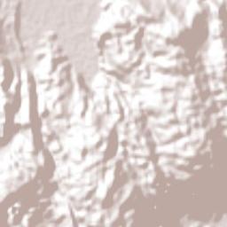 Tamasopo Terrain Map