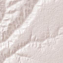 Villa Licenciado Jesús Terán (Calvillito) Terrain Map