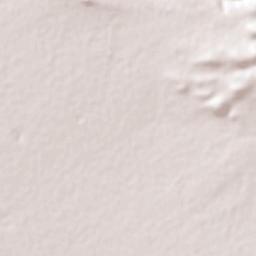 Laguna de Guadalupe Terrain Map