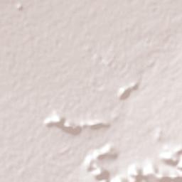 Ejido Gogorrón (Ex-Hacienda de Gogorrón) Terrain Map