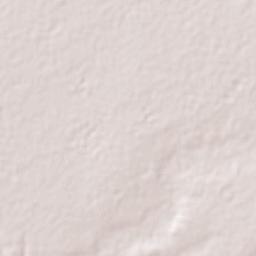 El Puente Terrain Map