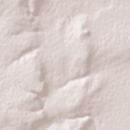 Guadalupe Victoria Terrain Map