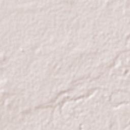 San Vicente Tancuayalab Terrain Map
