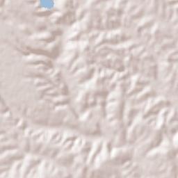 Custique Terrain Map