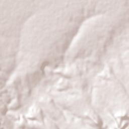 Bajío de San José Terrain Map