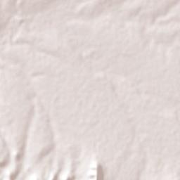 La Verdolaga Terrain Map