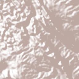 Tampemoche Terrain Map