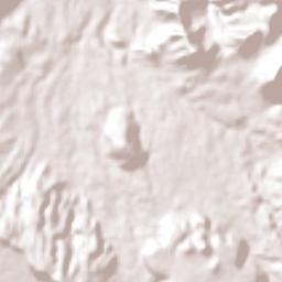 Francisco I. Madero Terrain Map