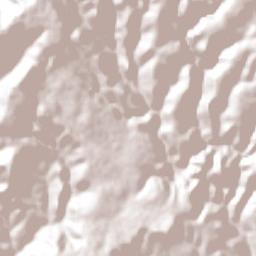 Tlachichila Terrain Map