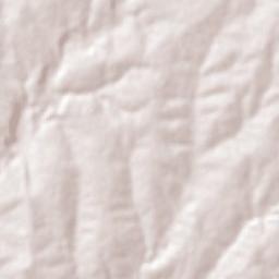 Corral Blanco Terrain Map