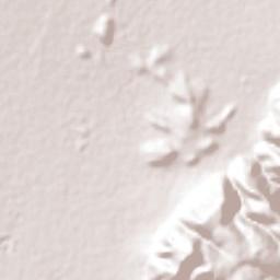 San José de Rancho Nuevo (Los Arrieros) Terrain Map