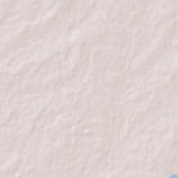 Municipio de Florida Terrain Map