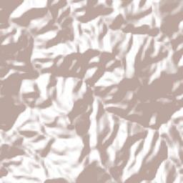 San Martín de Bolaños Terrain Map