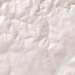 Encarnación de Díaz Terrain Map