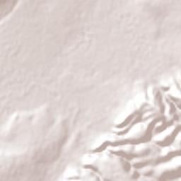 San José del Torreón Terrain Map
