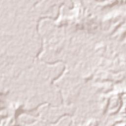 Tempoal de Sánchez Terrain Map