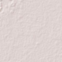 Dzilam de Bravo Terrain Map