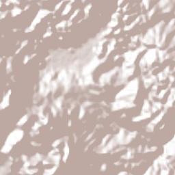 Xilitla Terrain Map