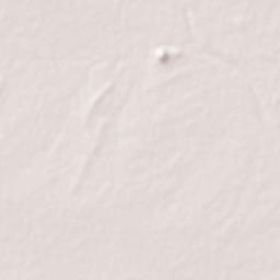 Talaja Terrain Map