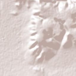 La Ciénega Terrain Map