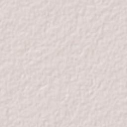 Dzidzantun Terrain Map