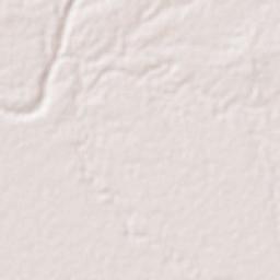 Shahpur Terrain Map