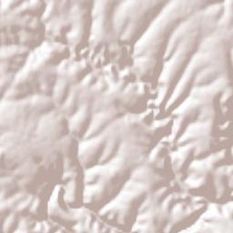 Mexticacán Terrain Map