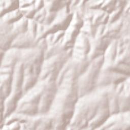 San Gaspar de los Reyes Terrain Map