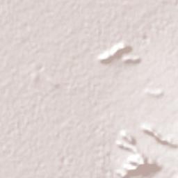 San Nicolás del Cármen Terrain Map