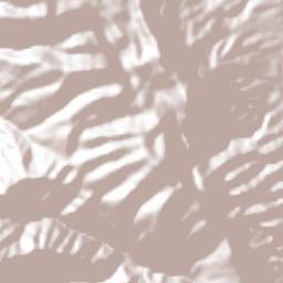 Ahuacatlán de Guadalupe Terrain Map