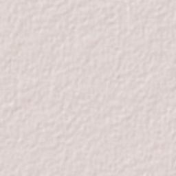 Telchac Pueblo Terrain Map